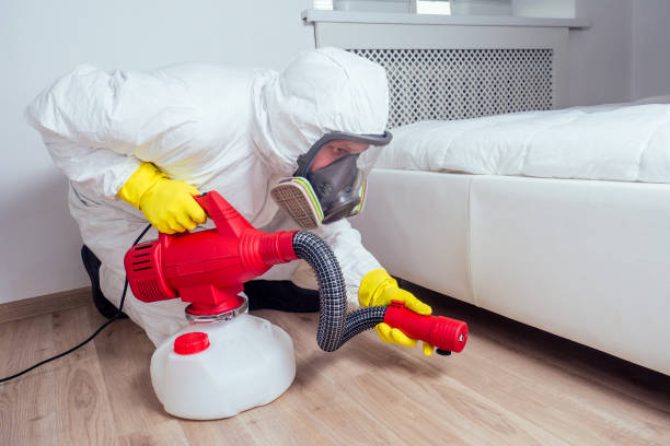 Best Pest Control for Restaurants  in Cuba, MO