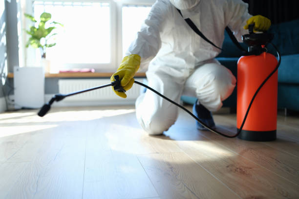 Best Pest Prevention Services  in Cuba, MO