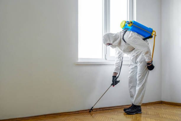 Best Pest Removal Services  in Cuba, MO