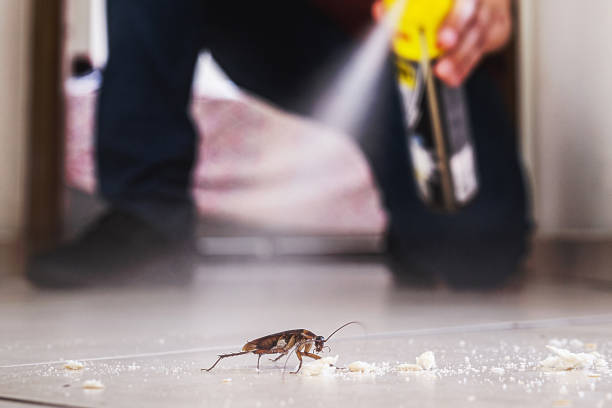 Pest Control for Restaurants in Cuba, MO