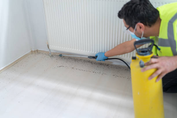 Best Bed Bug Extermination  in Cuba, MO