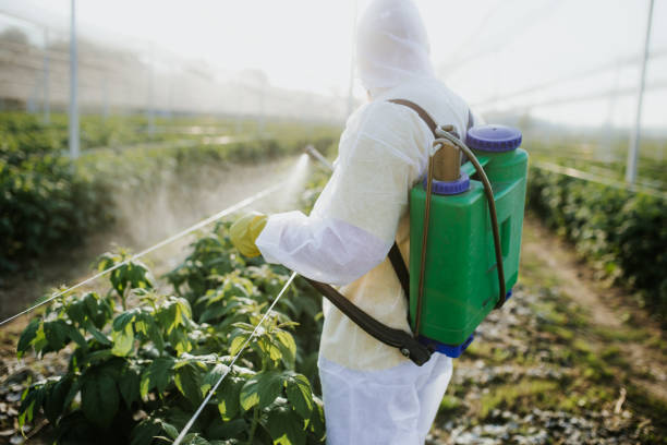 Best Bed Bug Extermination  in Cuba, MO